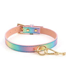 Iridescent Rainbow Hot Bitch Collar & Leash