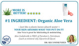 Aloe Cadabra Organic Peppermint Lube